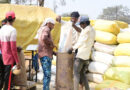 धान खरीदी महाभियान से किसानों में हर्ष, 283 करोड़ का धान खरीदा गया